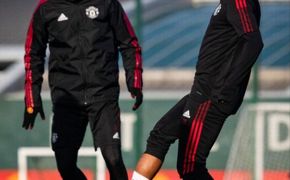 เว็บแทงบอล ดีที่สุด